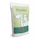 Harina Pizzerina 5 Kg Ylla