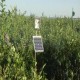 Más imágenes de Ahuyentador Bird Gard Pro Plus para Cuervos (Cobertura 12.000 M2)