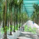 Más imágenes de Bolsa de Cultivo Easy-Fill de 400 Lts