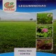 Más imágenes de Paquete Trebol Rojo Contea 1 Kg Leguminosas Red Clover