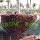 Más imágenes de Bolsa de Cultivo Easy-Fill de 100 Lts.