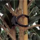 Más imágenes de Goma Ancla Nº 5. Goma Elástica de Anclaje de Ramas, Tallos, Parrales