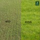 Más imágenes de Fertilizante Nocut-Green de Zulueta