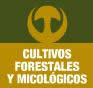 Cultivos Forestales Y Micológicos, Sl